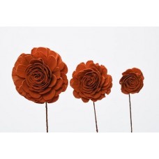 SOLA ROSE COLORS 4" (16" stem) Orange- CLOSE OUT !!!